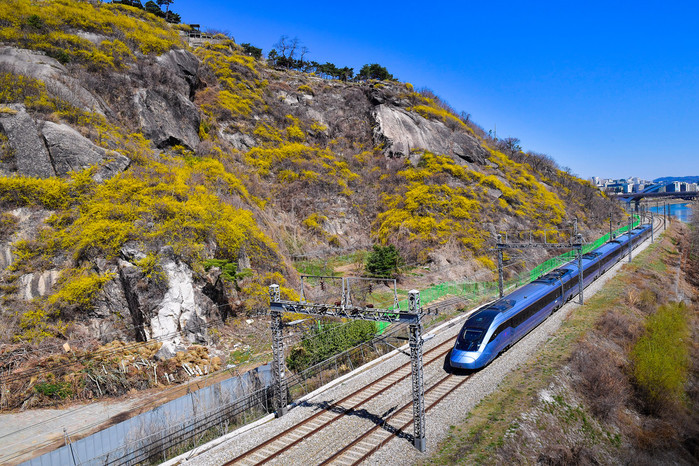 Midlife / 봄을 알리는 기적 소리