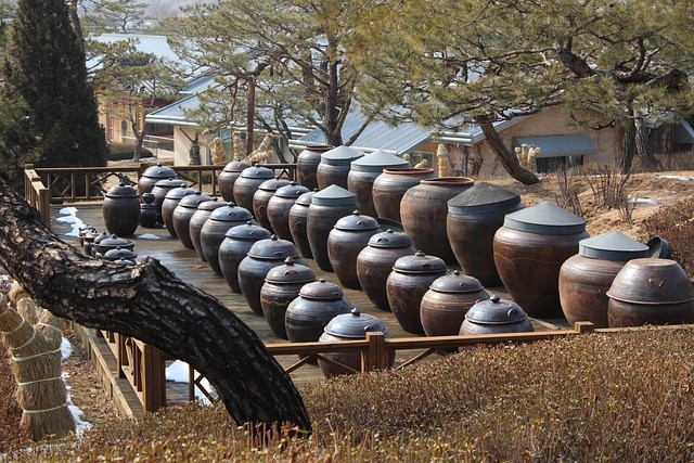 윤경숙 컬럼 [식(食)과 마음] / ...